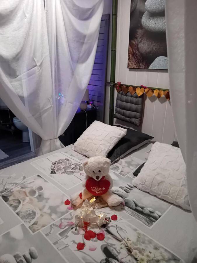 Tente pour 4 personnes, avec jacuzzi ainsi que jardin et piscine dans le Lot-et-Garonne - 2