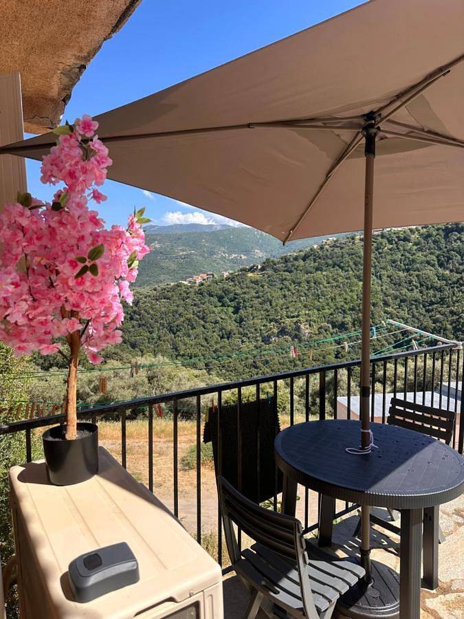 Gîte pour 4 personnes, avec vue et jardin, animaux acceptés à Santo-Pietro-di-Tenda