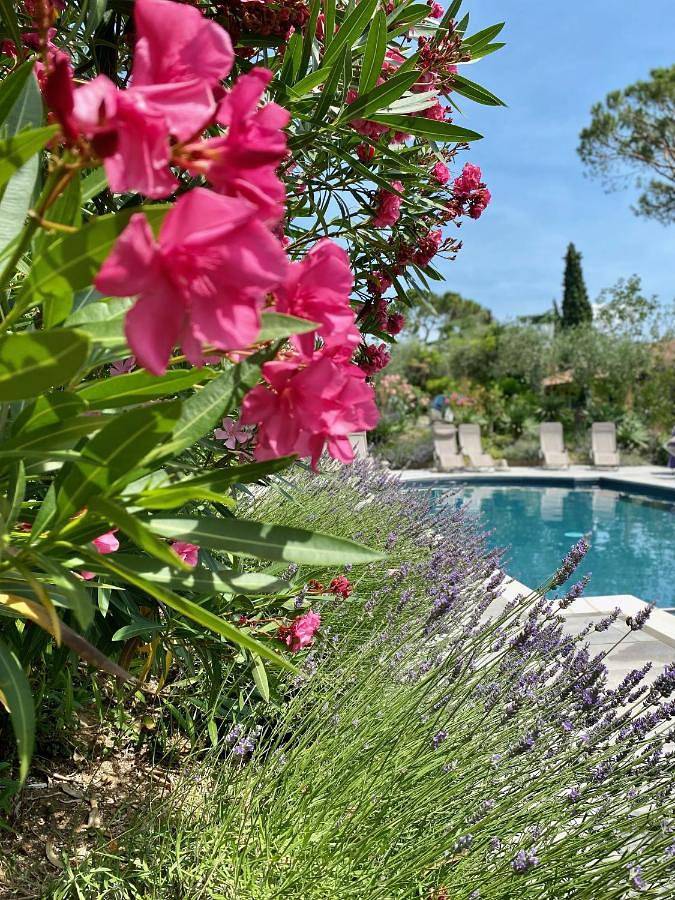 Villa Schindler in Manerba del Garda, Prealpi Gardesane