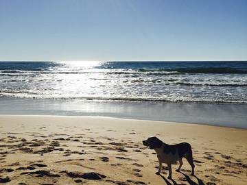 Holiday Home for 6 People in Culburra, Culburra Beach, Photo 1