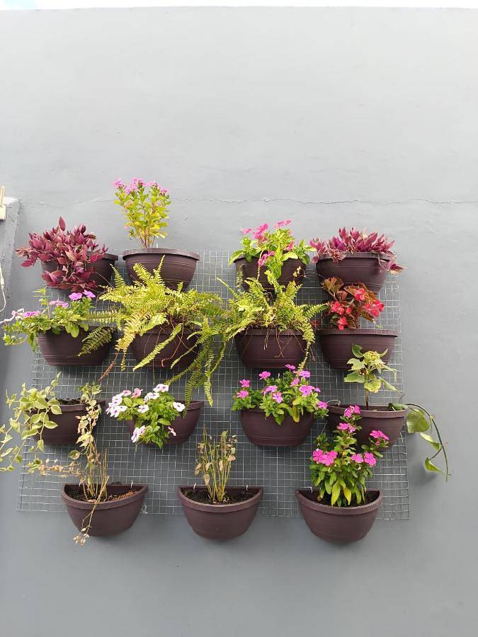 Maison d’hôte pour 4 personnes, avec jardin, adapté aux familles à Belém - 2