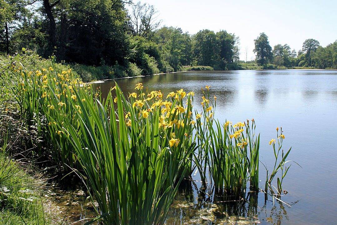 Le Jardin Lc528 - Les Gîtes de Courmain in Romorantin-Lanthenay, Sologne