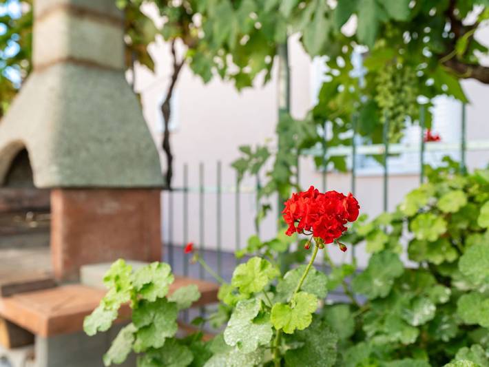 Ferienwohnung für 7 Personen, mit Garten in Biograd na Moru - 4