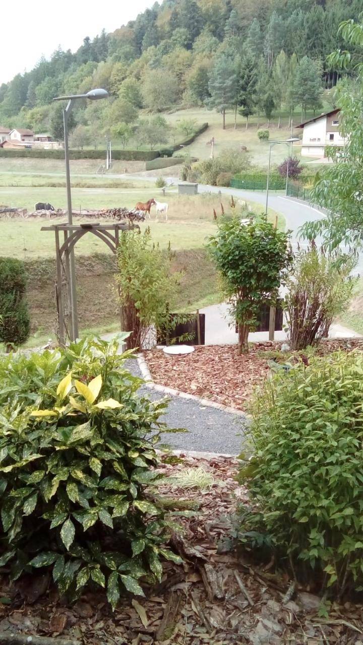 Chalet in Walscheid, Sarrebourg