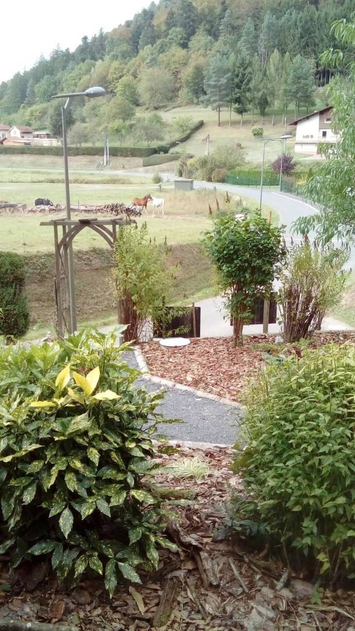 Gîte pour 4 personnes, avec vue et vue sur le lac ainsi que jardin et sauna à Walscheid - 2