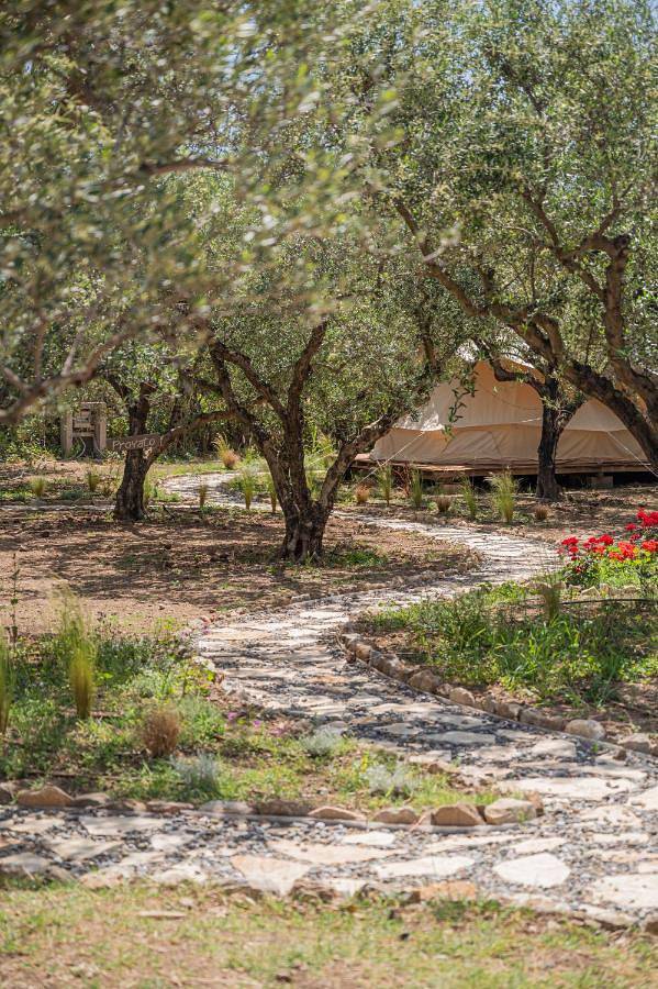 Camping für 2 Personen, mit Terrasse und Garten sowie Pool auf den Peloponnes - 4
