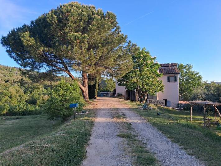 Casa vacanza per 6 persone, con giardino, con animali domestici a Rignano sull'Arno