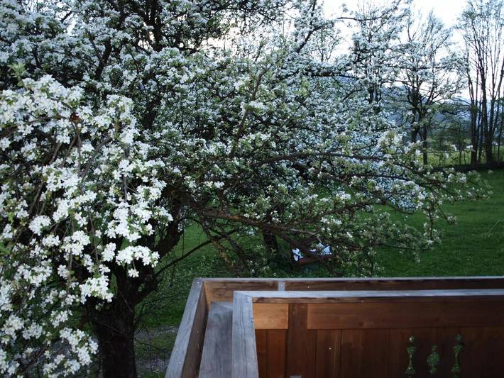 Villa für 7 Personen, mit Garten in Tirol - 2