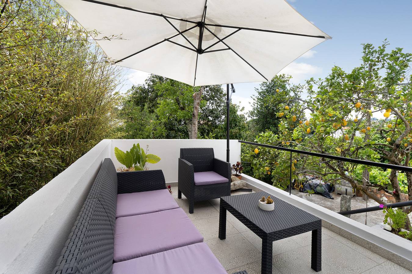 Casa Kiko, Art and Biological Gardening Project in Anha, Viana do Castelo District