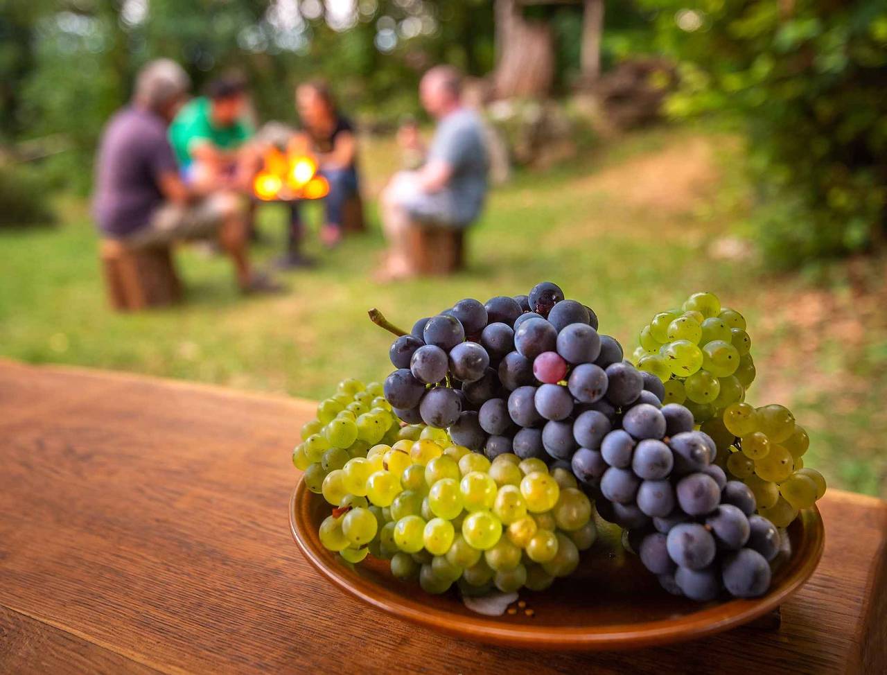 Ganzes Studio, Studio mit schönem Ausblick in Neustadtl, Slowenien