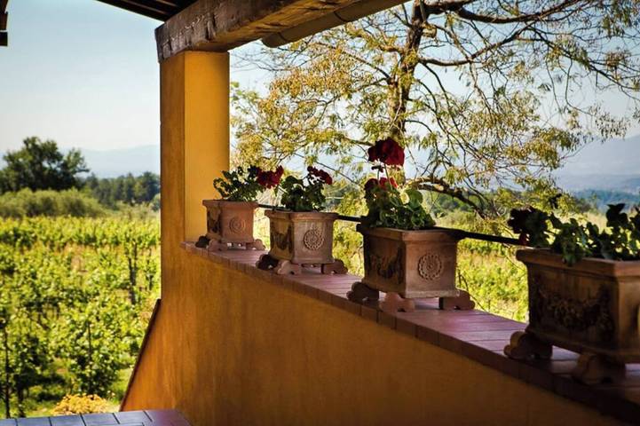 Appartamento intero, Malvasia-appartamento panoramico sul vigneto in Reggello, Valdarno