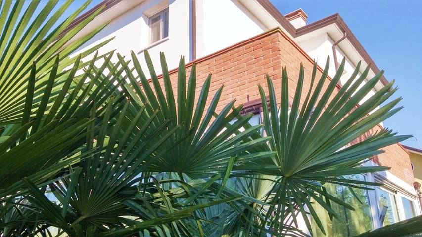 B&b per 3 persone, con Terrazza e Giardino nonché Panorama a Venezia