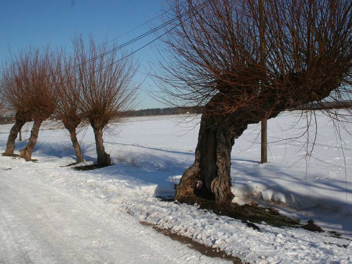 Ferienwohnung für 4 Personen, mit Terrasse in Wustrow - 3