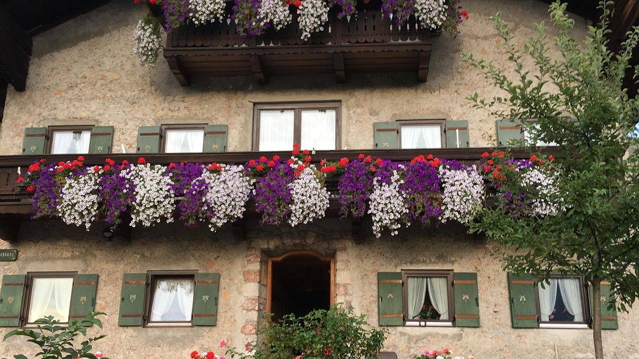 Ganze Ferienwohnung, Ferienwohnung für 2 Personen (30 m²) in Marquartstein in Marquartstein, Bayerische Alpen