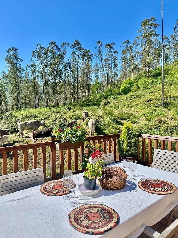 Casa rural para 11 personas, con vistas además de balcón y jardín en Trasmiera - 3