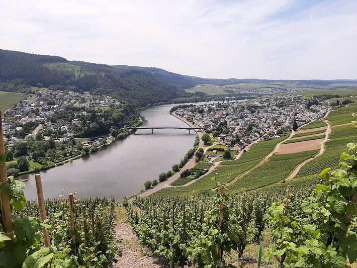 Ferienhaus für 4 Personen, mit Terrasse in Schweich an der Römischen Weinstraße - 4