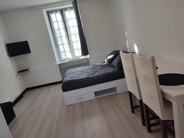 Gîte pour 3 personnes, avec jardin et terrasse, animaux acceptés à Sablé-sur-Sarthe - 2