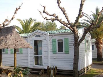 Camping para 6 Personas en Montroig, Baix Camp, Foto 4