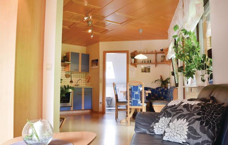 Ferienwohnung für 5 Personen, mit Terrasse und Garten sowie Sauna in Bad Peterstal-Griesbach - 2