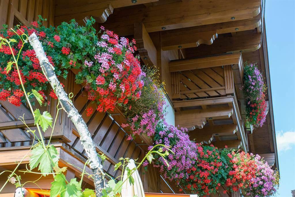 Geheel vakantieappartement, App/1 slaapkamer/douche, wc in Leogang, Saalbach-Hinterglemm