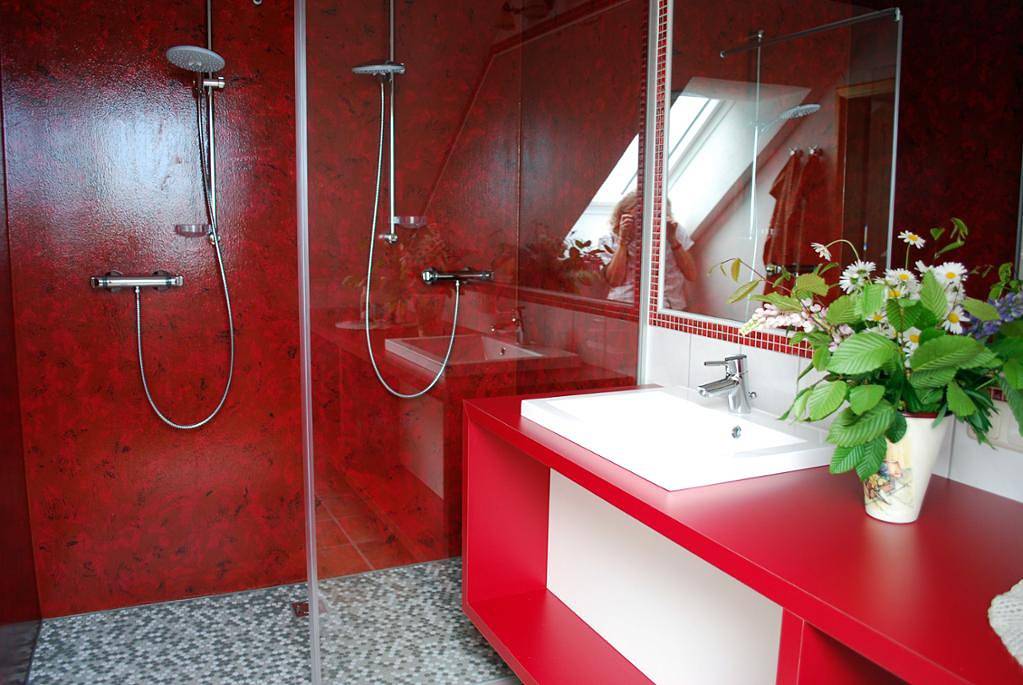 Ganze Ferienwohnung, Pension Kibitzhof - Doppelzimmer in Litschau, Waldviertel