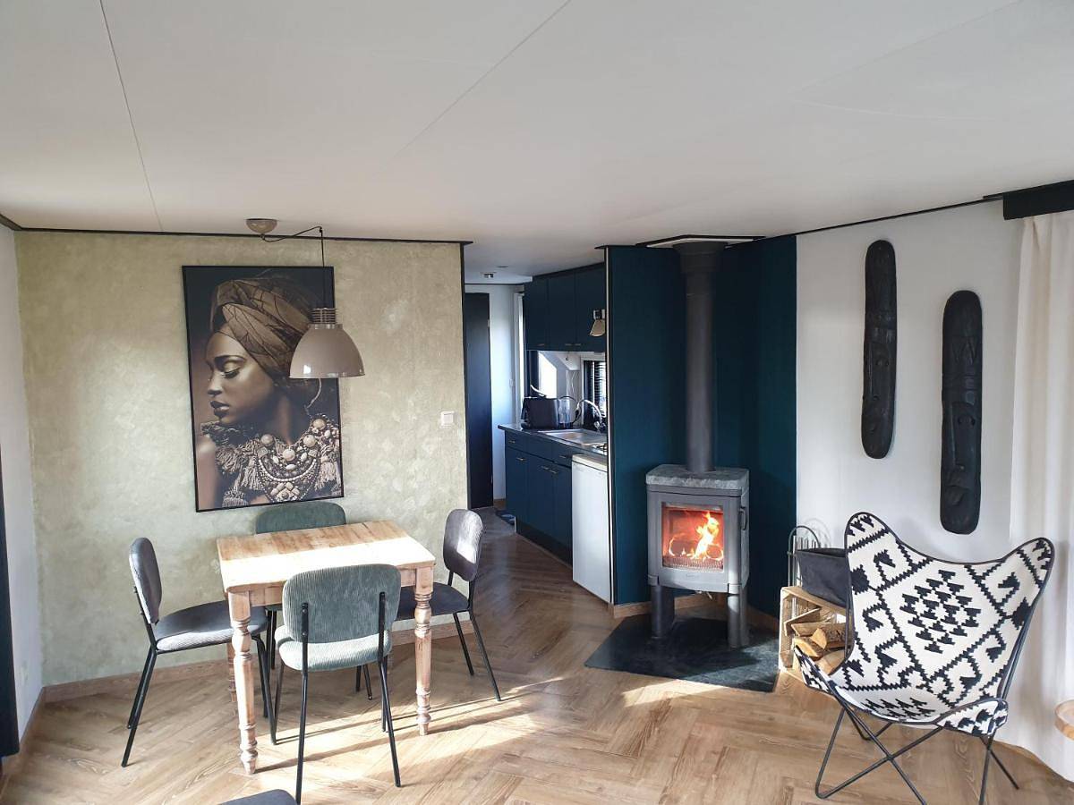 Vintage chalet Fereale Ii in Nationaal Park De Alde Feanen