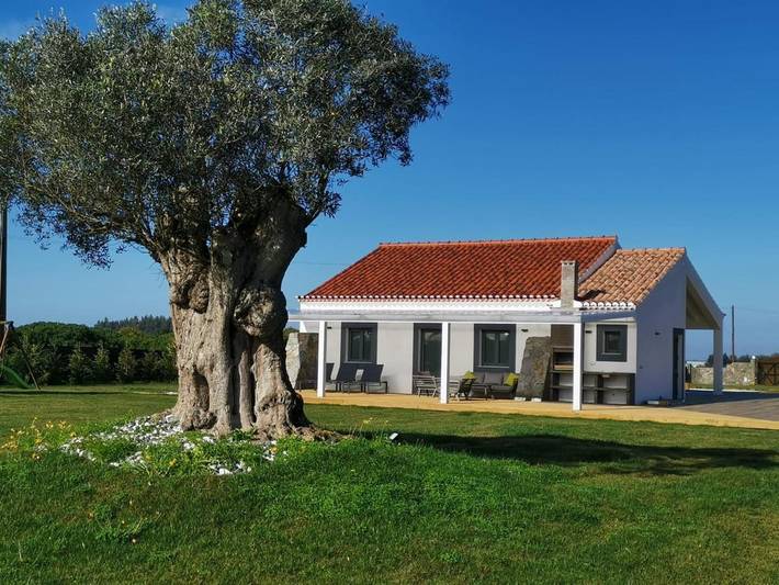 Casa de férias para 8 pessoas, com Terraço e Jacuzzi e ainda Jardim and Piscina em Zambujeira do Mar