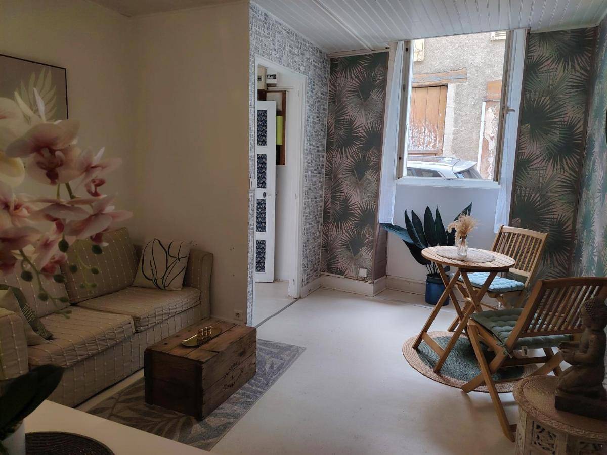 Appartement entier, À louer Charmant T2 en rez-de-chaussée à Châteaumeillant in Châteaumeillant, Saint-Amand-Montrond