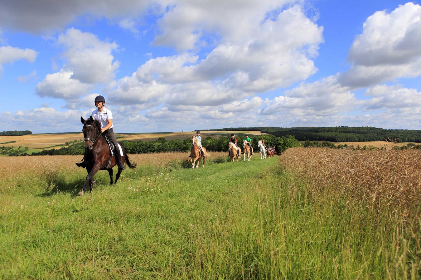 Urlaubsreiterhof Trunk - Ferienwohnung Heinrichsruhe mit zwei Schlafzimmern und Balkon in Igersheim, Taubertal