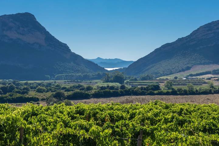 Gîte pour 4 personnes, avec terrasse et jardin à Barbaggio - 3