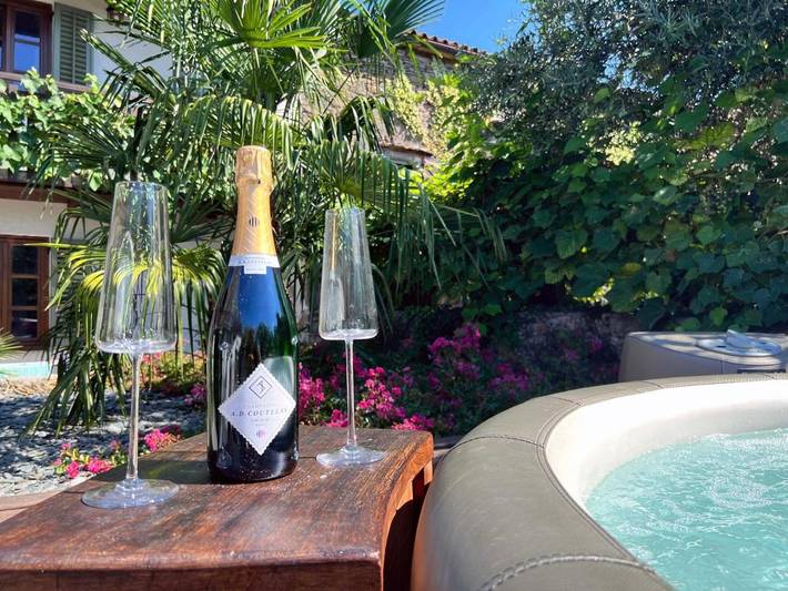 Location de vacances pour 9 personnes, avec jacuzzi et jardin à Vipava - 2