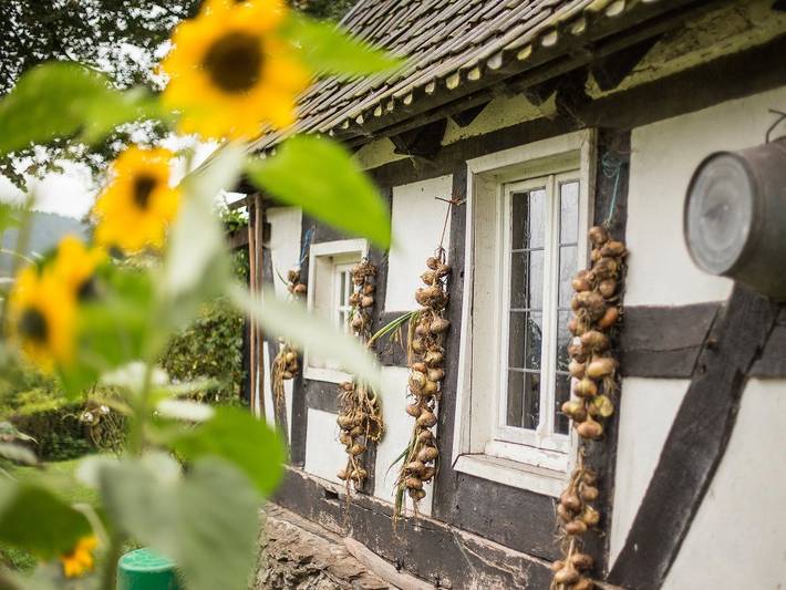 Ferienwohnung für 6 Personen, mit Balkon und Balkon/Terrasse sowie Terrasse und Garten im Sauerland - 2
