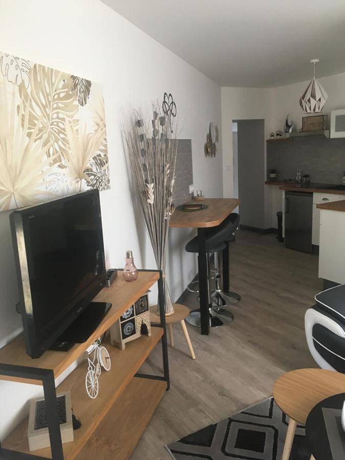 Appartement entier, One-Bedroom Apartment in Bourgneuf-en-Retz, Région de Saint-Nazaire