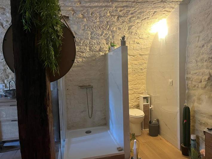 Gîte pour 3 personnes, avec vue à Castelnau-Montratier - 4