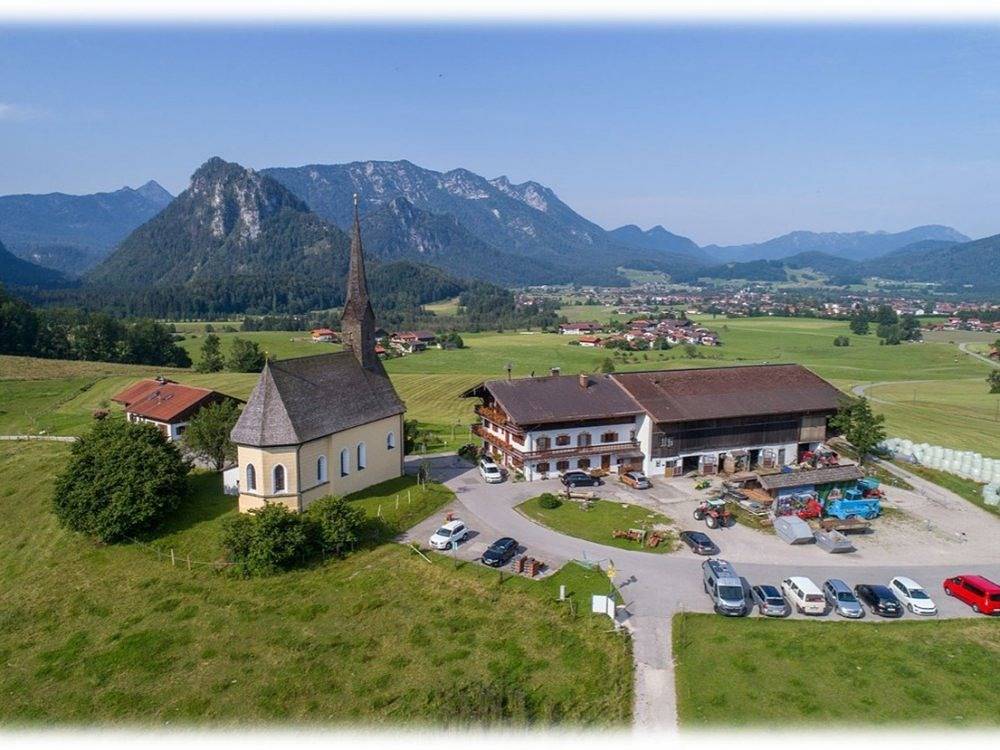 Einsiedlhof - Moosglöckchen in Inzell, Alpes Bávaros