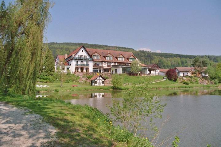 Hotel für 4 Personen, mit Terrasse und Garten sowie Pool und Sauna in Unterfranken - 3