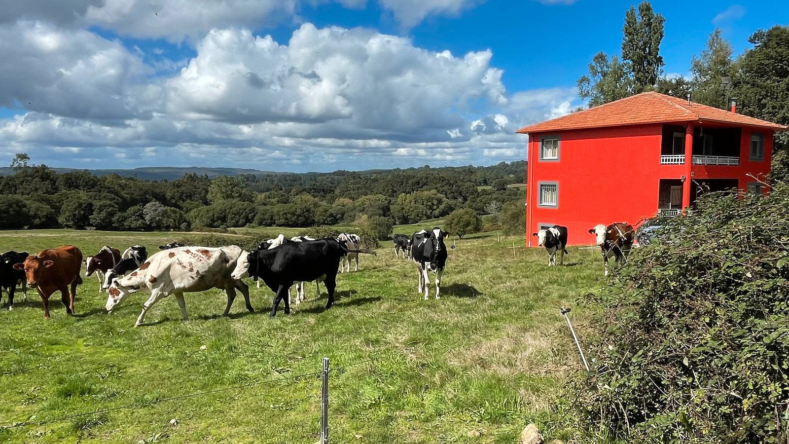 Maison de vacances « As Neveiras » avec vue sur la montagne, jardin privé et Wi-Fi in Forcarei, Province de Pontevedra