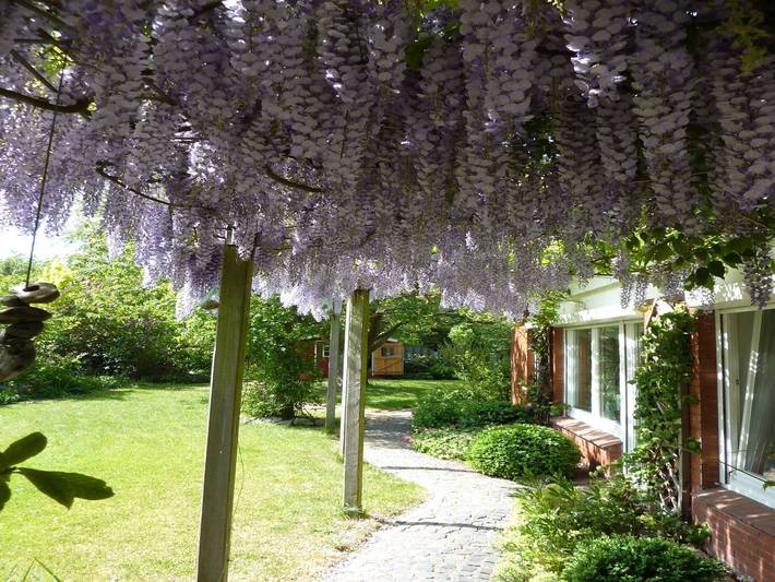 Ferienwohnung für 4 Personen, mit Terrasse und Garten in Emden - 4