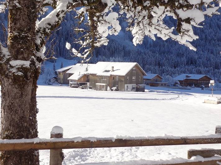 Location de vacances pour 4 personnes, avec jardin et terrasse à Schoppernau - 2