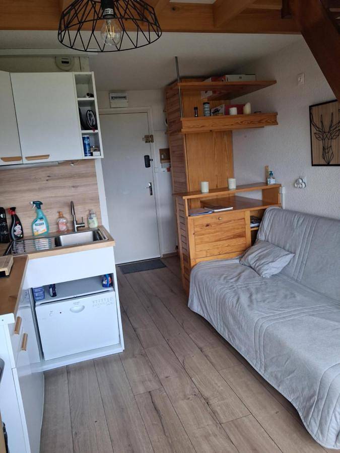 Gîte pour 5 personnes, avec vue ainsi que vue sur le lac et balcon à Puyvalador - 4