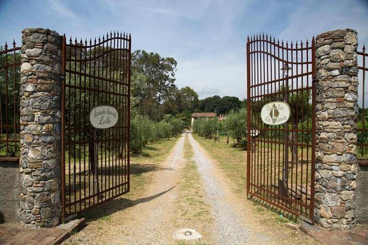Maison de campagne pour 4 personnes, avec jardin ainsi que piscine et vue à Sarzana - 3