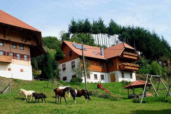 Ferienwohnung für 5 Personen, mit Terrasse und Garten - 1