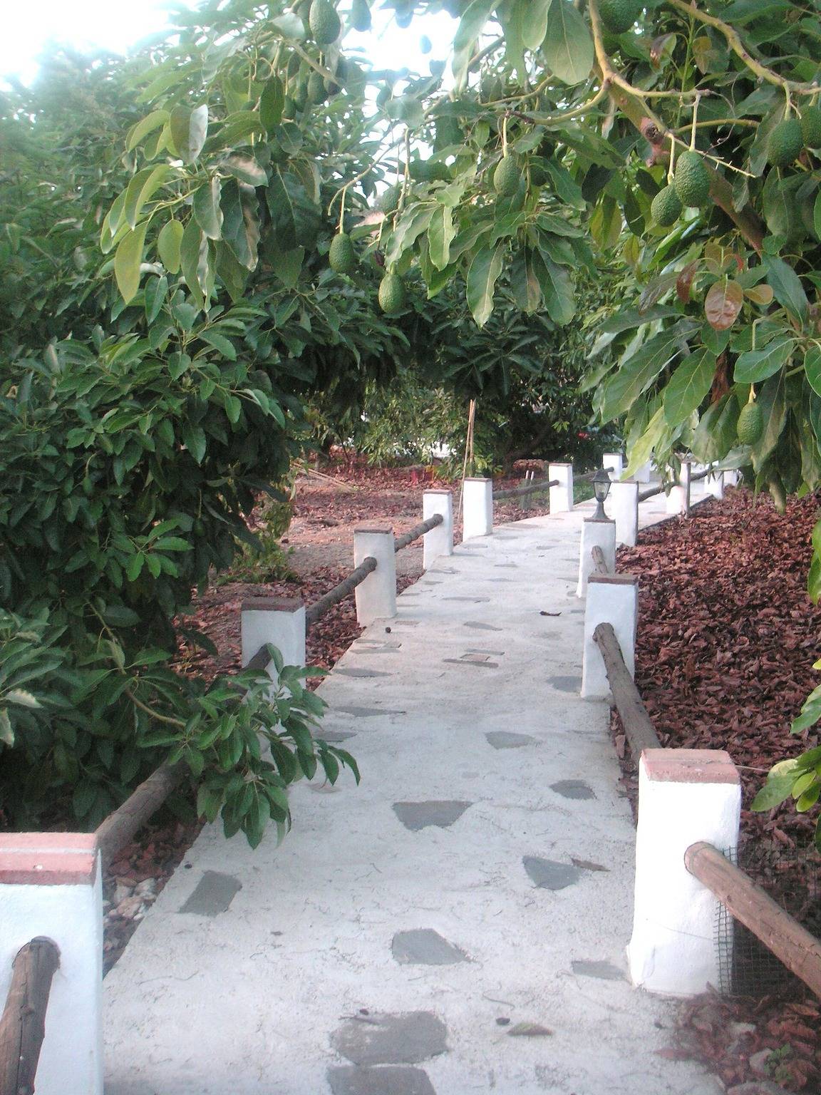 El Olivarillo – Charmantes Feriendomizil in der Natur in Frigiliana, Costa del Sol