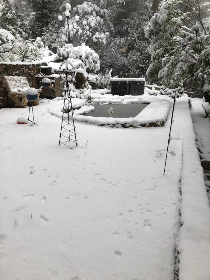 Casa rural para 20 personas, con piscina además de vistas y terraza, Se admiten mascotas en Albalate de Zorita