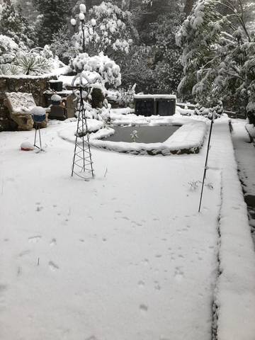 Casa rural para 20 personas, con piscina además de vistas y terraza, Se admiten mascotas en Albalate de Zorita