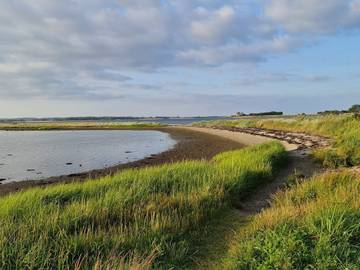 Ferienhaus für 9 Personen in Pøt Strandby, Kleiner Belt, Bild 2