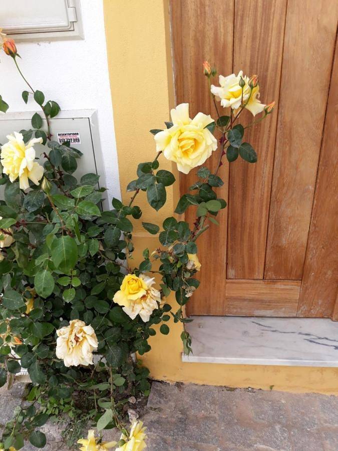 Gîte pour 4 personnes, avec jacuzzi et balcon dans Miranda do Corvo - 4