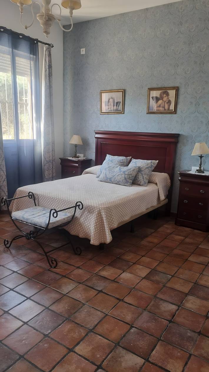 Casa rural para 10 personas, con jardín, Se admiten mascotas en Sierra Norte de Sevilla - 4