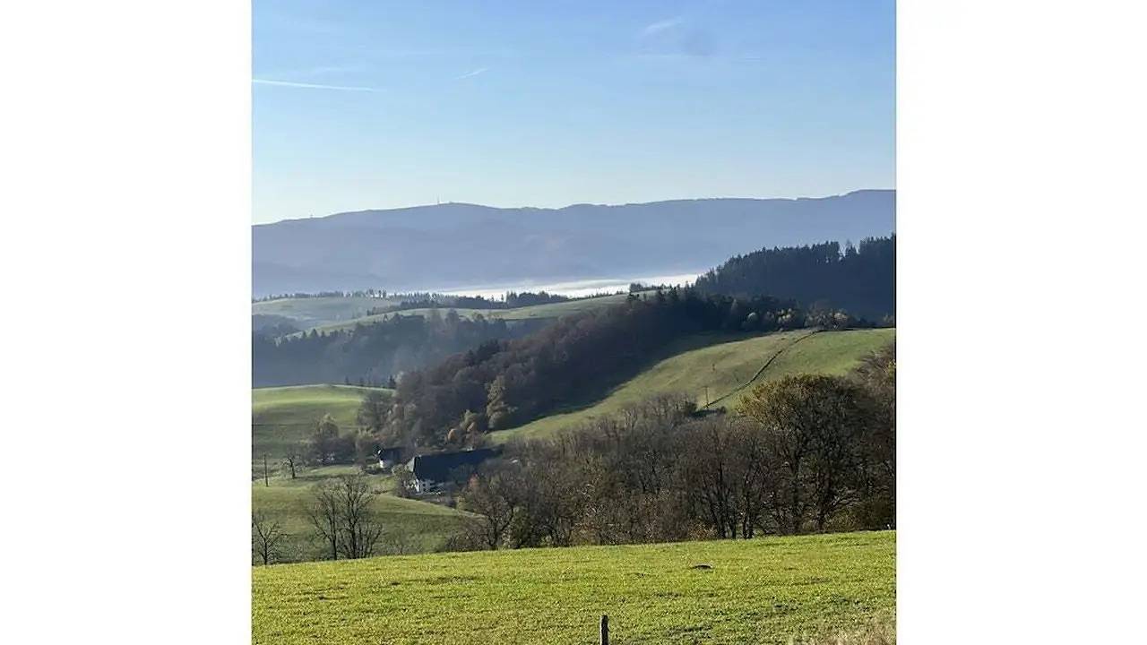 Ferienhaus für 4 Personen (70 m²) in St. Peter in St. Peter, Südschwarzwald