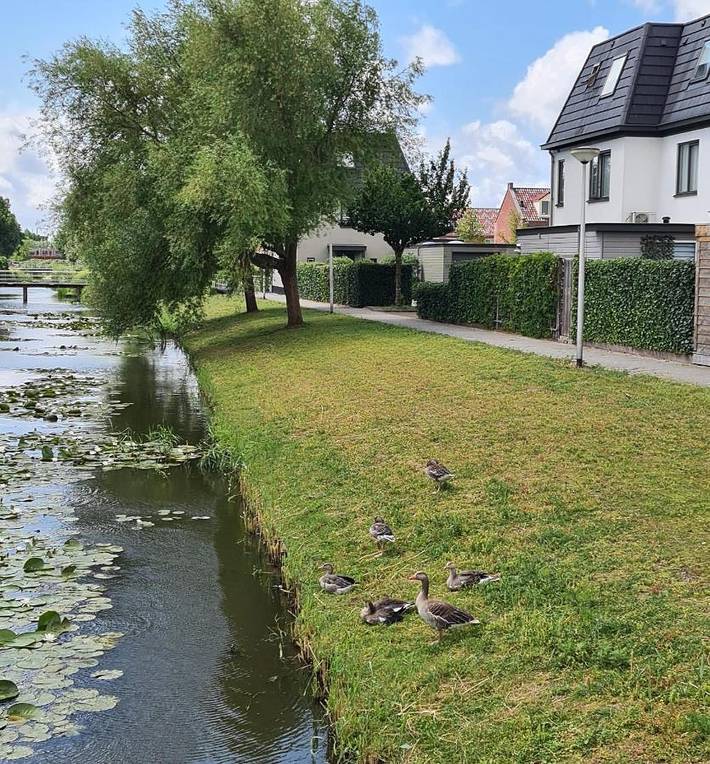 Gîte pour 2 personnes, avec vue et jardin à Purmerend - 4